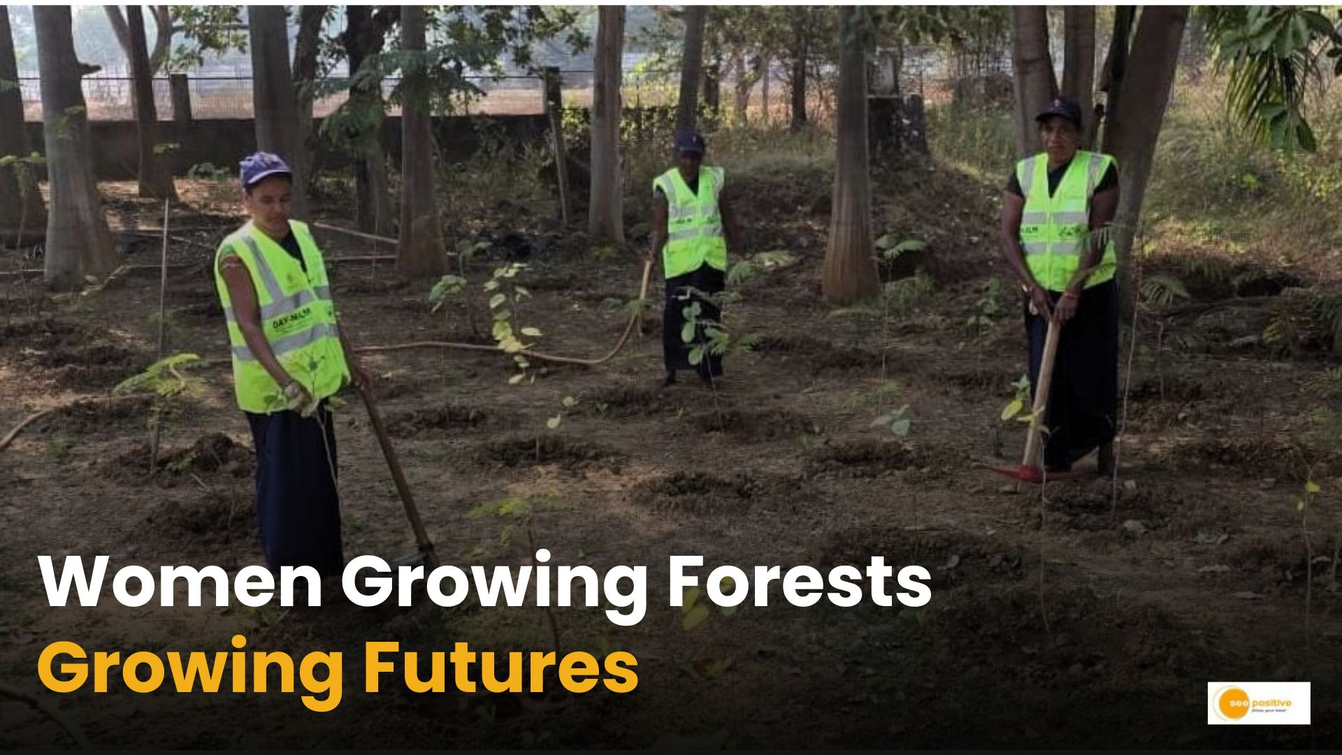 Women For Tree Scheme
