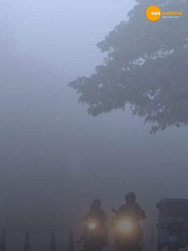 मौसम विभाग ने कोहरे पर जारी की चेतावनी, कैसे रखें ख्याल?