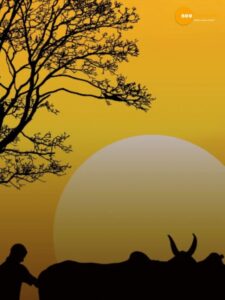 Read more about the article 23 दिसंबर को क्यों मनाते हैं किसान दिवस?