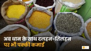 Read more about the article MSP 2025-26: अब इन 5 फसलों की सरकारी खरीद को मंजूरी!