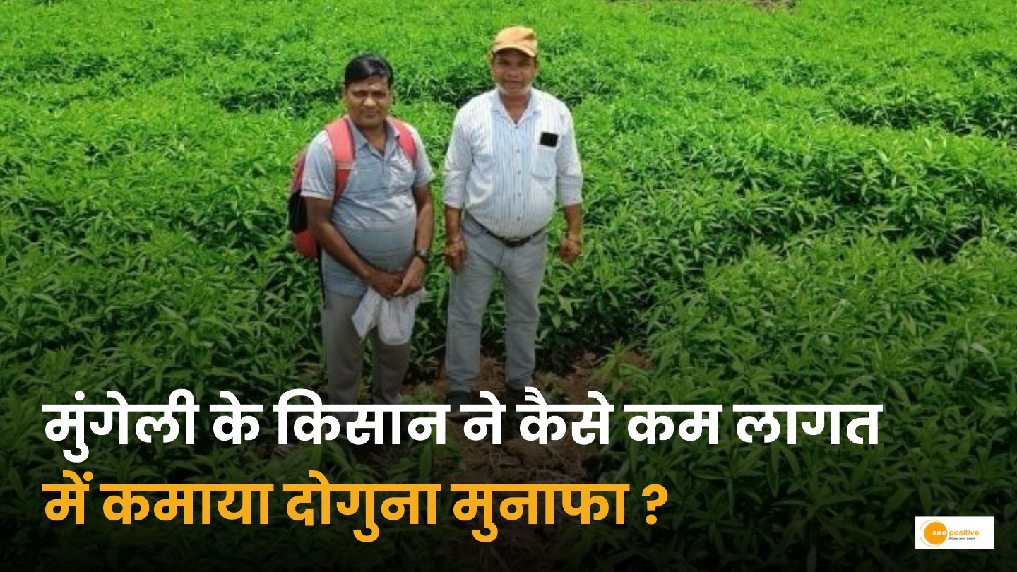 Organic Farming in Chhattisgarh