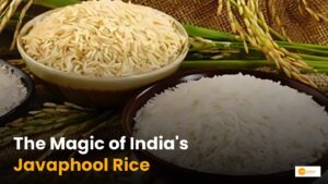 Read more about the article Specialty of Javaphool: भारत के इस चावल के किस्म की है दुनियाभर में मांग!