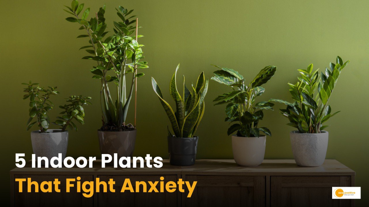 How To Keep Your Plants Alive