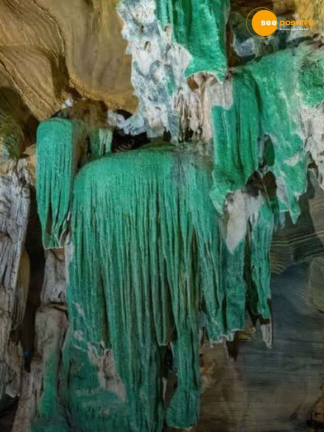 क्यों हरा दिखाई दे रहा है कुटुमसर गुफा?