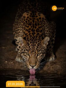 Read more about the article National Geographic day