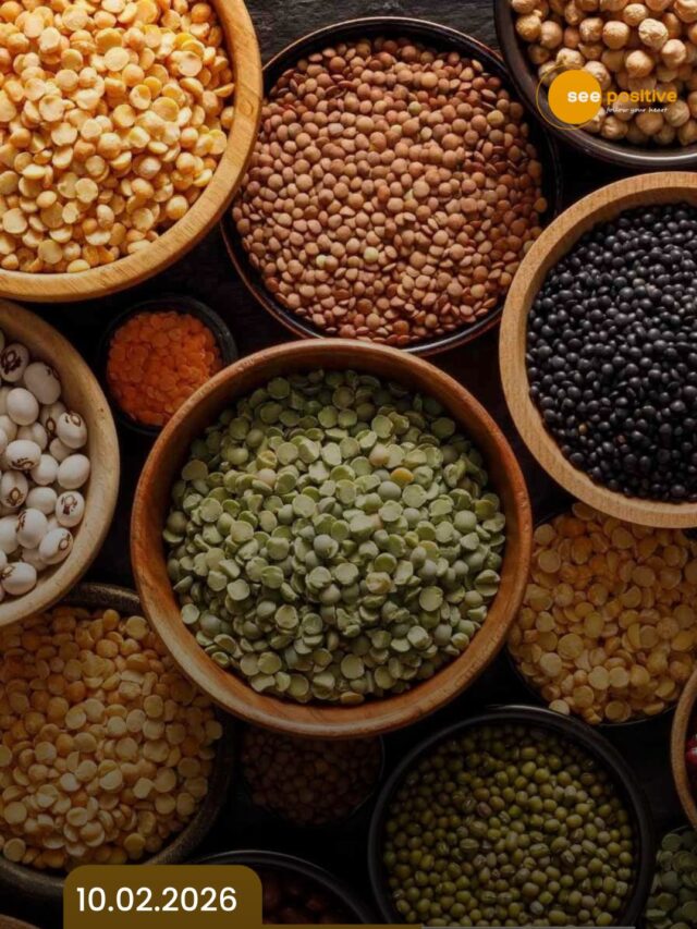 World Pulses Day : Small seeds,big impact