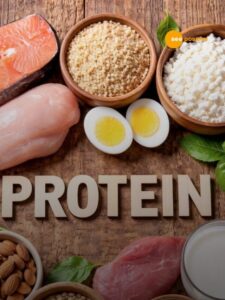 Read more about the article Protien Diet Facts