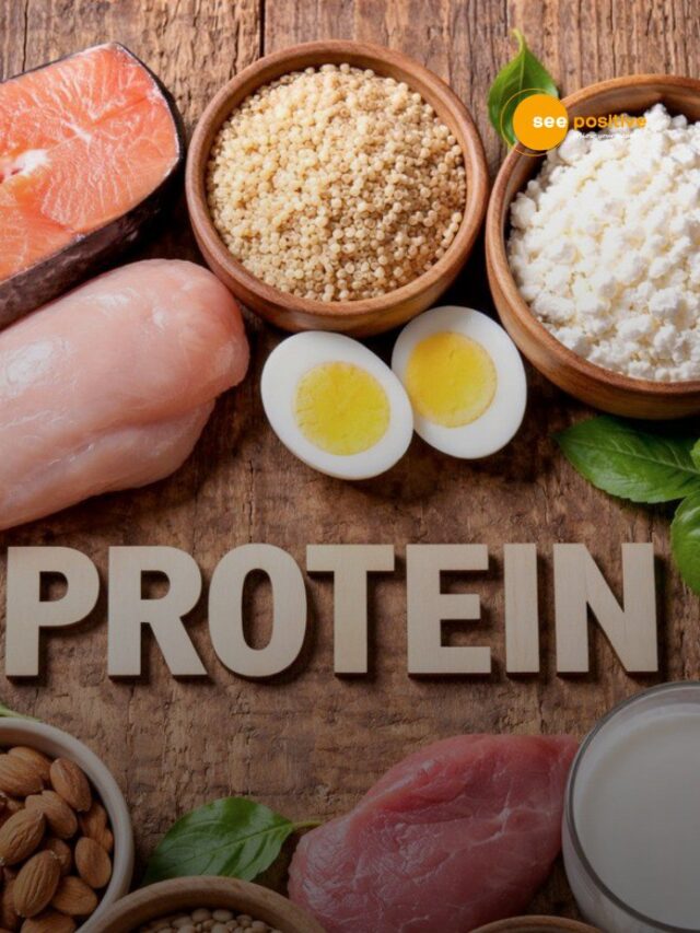 Protien Diet Facts