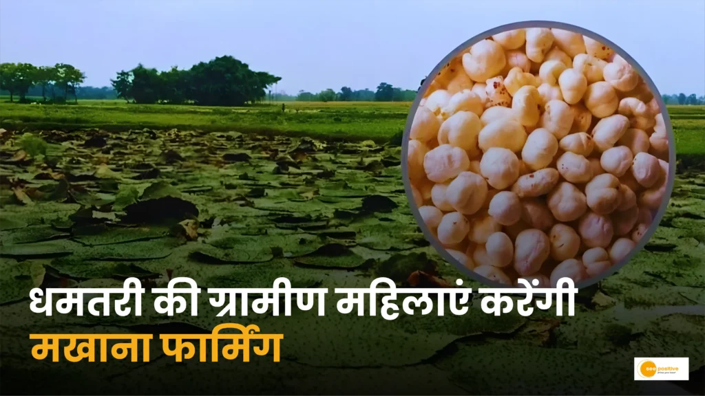 makhana-farming-dhamtari-women