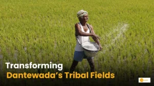 Read more about the article Transforming Rice Cultivation in Dantewada