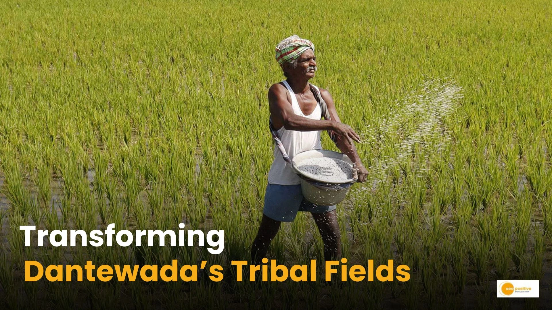 Transforming Rice Cultivation in Dantewada