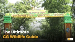 Read more about the article Chhattisgarh Tourism: छत्तीसगढ़ के 11 अभयारण्यों की पूरी जानकारी!