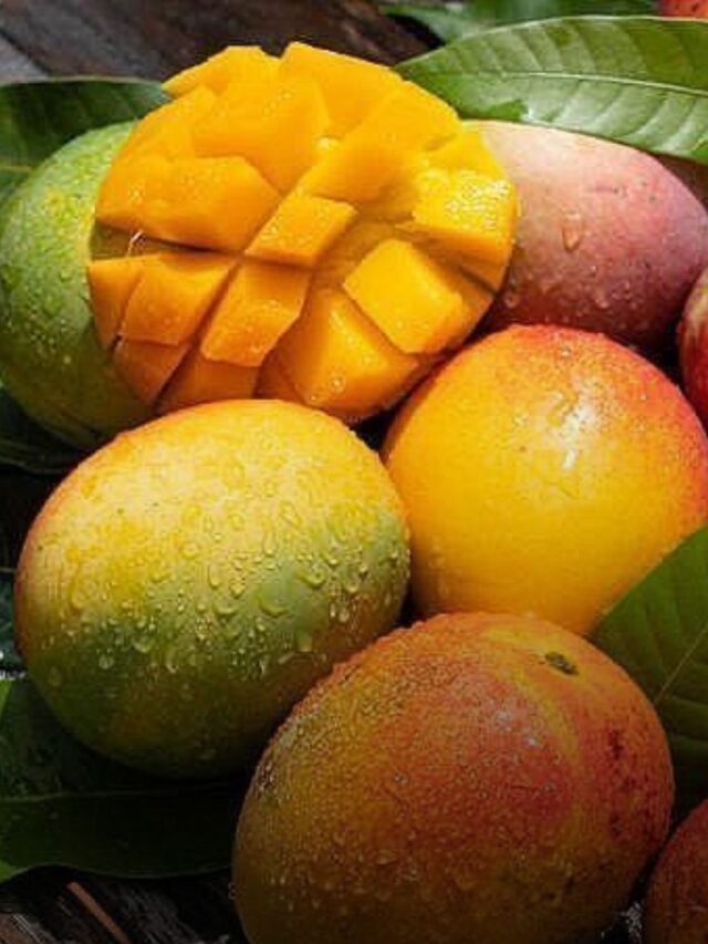Top 5 Most Expensive  Mangoes in India You  Need to Try Once in Life