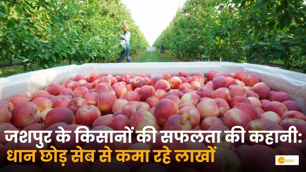 जशपुर के किसानों की सफलता की कहानी: धान छोड़ सेब से कमा रहे लाखों
