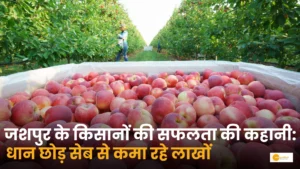 Read more about the article जशपुर के किसानों की सफलता की कहानी: धान छोड़ सेब से कमा रहे लाखों