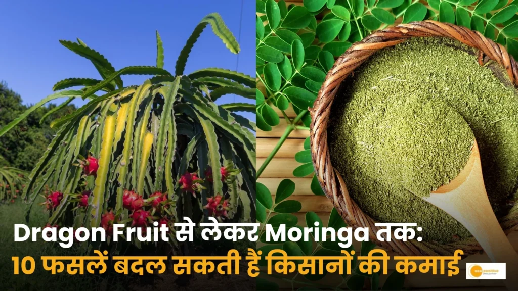 Dragon Fruit से लेकर Moringa तक: ये 10 फसलें बदल सकती हैं किसानों की कमाई, कम जमीन में भी दे सकती हैं बेहतर मुनाफा