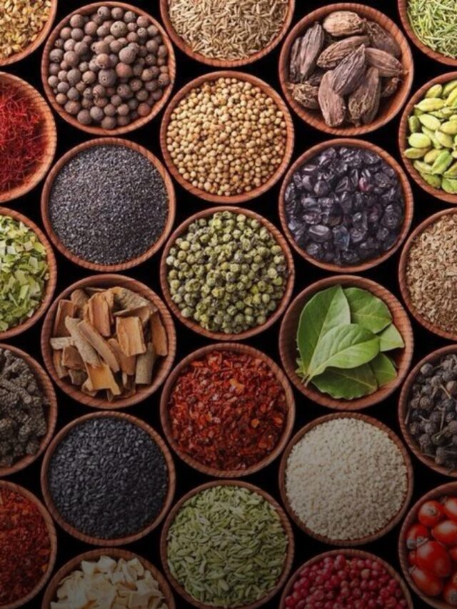 India’s Biggest Exports: 15 Products the World Buys from India