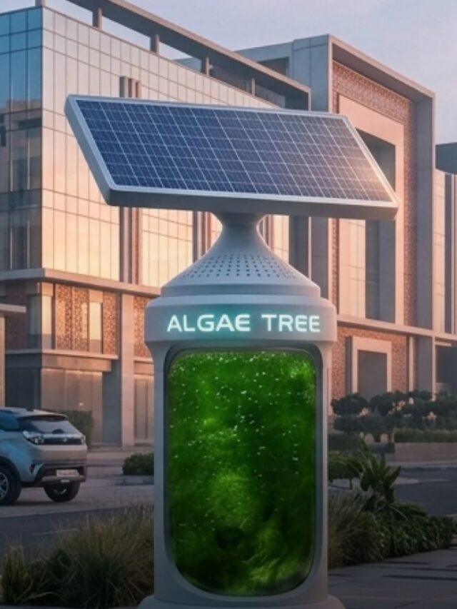 India’s First Algae Tree in Bhopal Can Absorb CO₂ Like 25 Trees