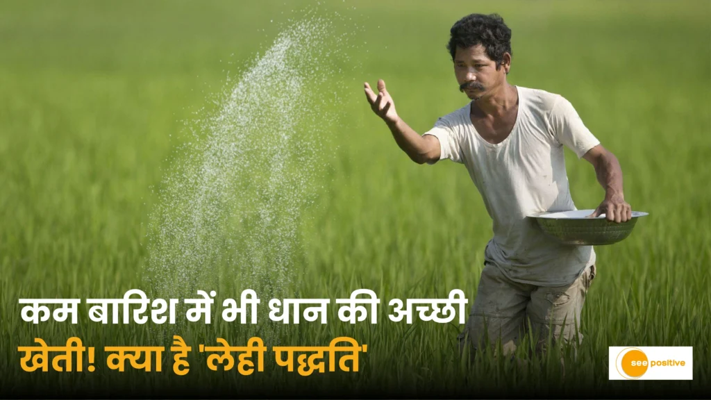कम बारिश में भी धान की अच्छी खेती! जानिए छत्तीसगढ़ के किसानों के लिए क्यों उम्मीद बन रही है ‘लेही पद्धति’