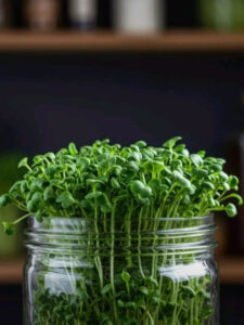 Read more about the article Tiny Greens, Big Benefits: How to Grow Microgreens at Home