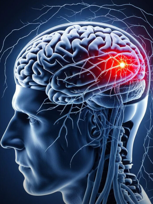 brain में कैसे बनती है memories?