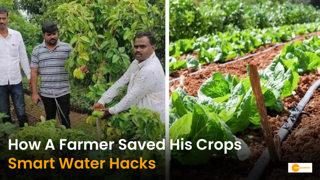 Defeating Drought: How a Beed Farmer Transformed His Land with Smart Water Savings