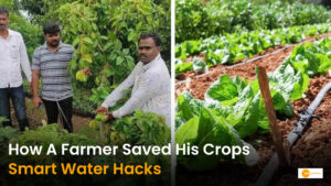 Read more about the article Defeating Drought: How a Beed Farmer Transformed His Land with Smart Water Savings
