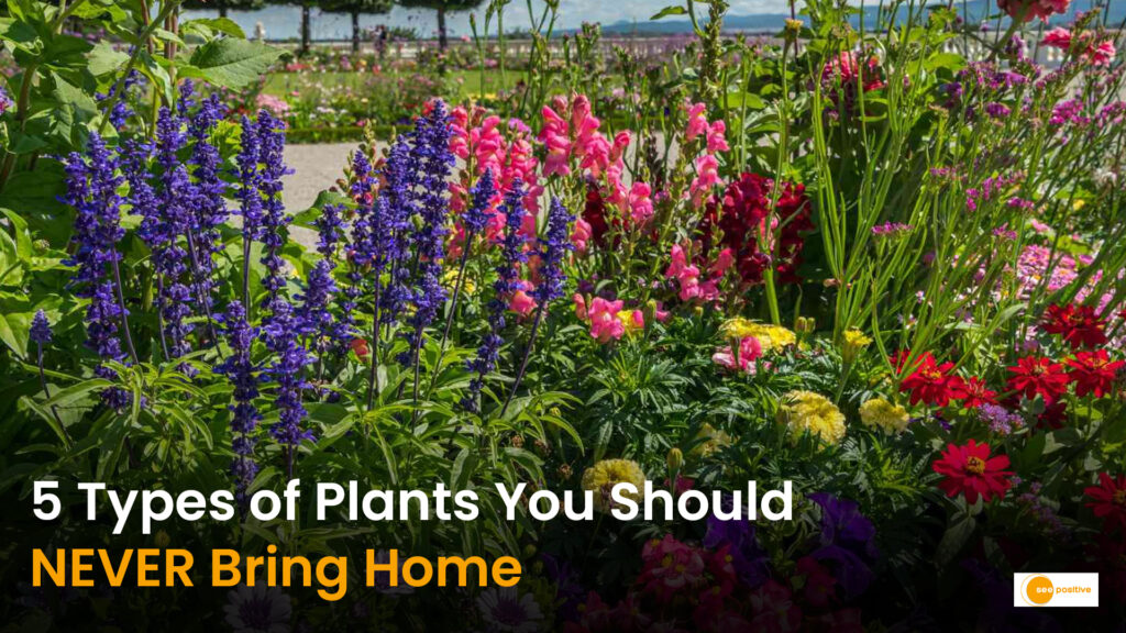 5 Plants You Should Never Buy From a Nursery (And What to Check First)
