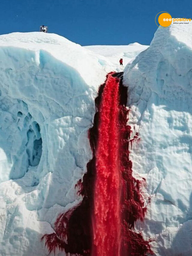 Is this real in Antarctica?