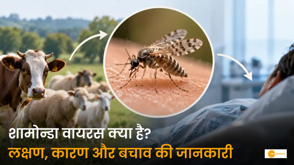 फ्रांस में सामने आया शामोन्डा वायरस का पहला मामला: जानें क्या है यह वायरस और इससे बचाव के उपाय