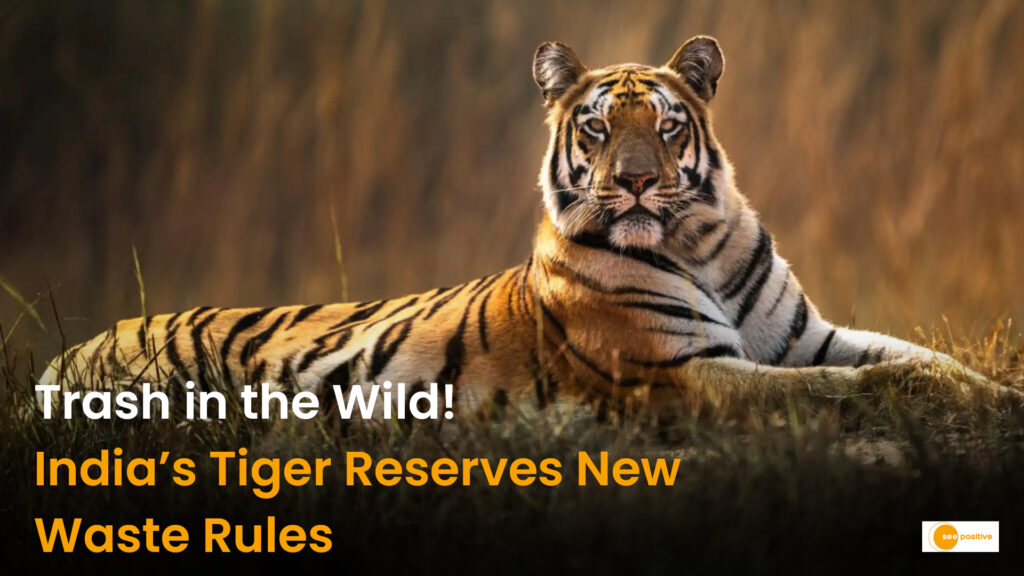 India’s Tiger Reserves Will Now Be Assessed on Solid Waste Management: Why It Matters for Forests