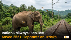 Read more about the article Plan Bee: How AI and Honeybee Sounds Saved Over 255 Elephants on Indian Railway Tracks