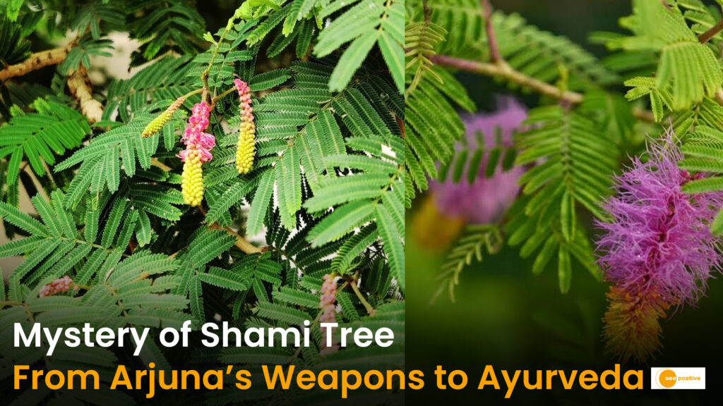 Shami Tree Secrets: What Connects the Mahabharata, Ayurveda and Nature?